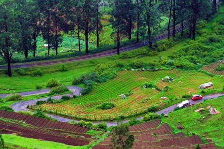 Ooty, Tamil Nadu - Sha Travels