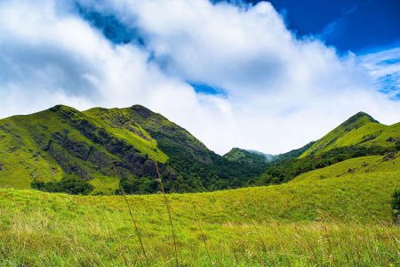 Wayanad, Kerala - Sha Travels