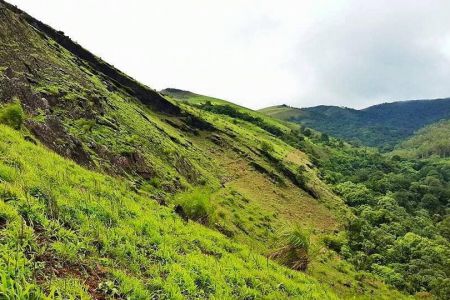 The Best Tourist Places in Chikmagalur - Sha Travels